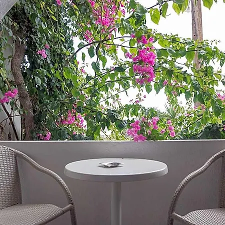 Hotel Proteas Kamári